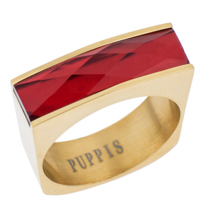 Δαχτυλίδι PUPPIS Gold Steel - PUR38116G