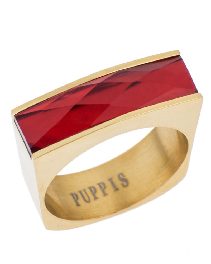 Δαχτυλίδι PUPPIS Gold Steel - PUR38116G