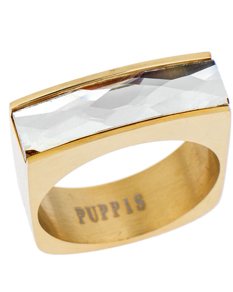 Δαχτυλίδι PUPPIS Gold Steel - PUR38119G