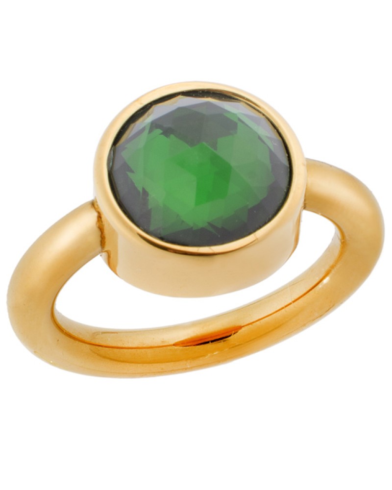 Δαχτυλίδι PUPPIS Gold Stainless Steel - PUR82300G