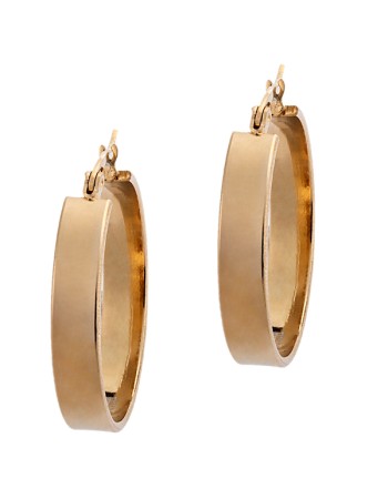 Σκουλαρίκια PUPPIS Gold Stainless Steel - PUW91186G