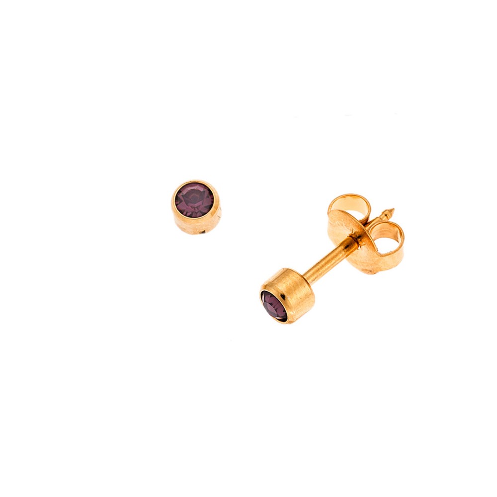 Σκουλαρίκια Senza Steel, από ανοξείδωτο επιχρυσωμένο ατσάλι με μωβ πέτρα - SSD5600-1GPE