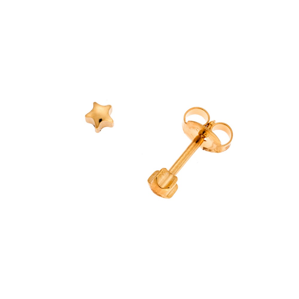 Σκουλαρίκια Senza Steel, από ανοξείδωτο επιχρυσωμένο ατσάλι, με αστεράκι - SSD5603GD