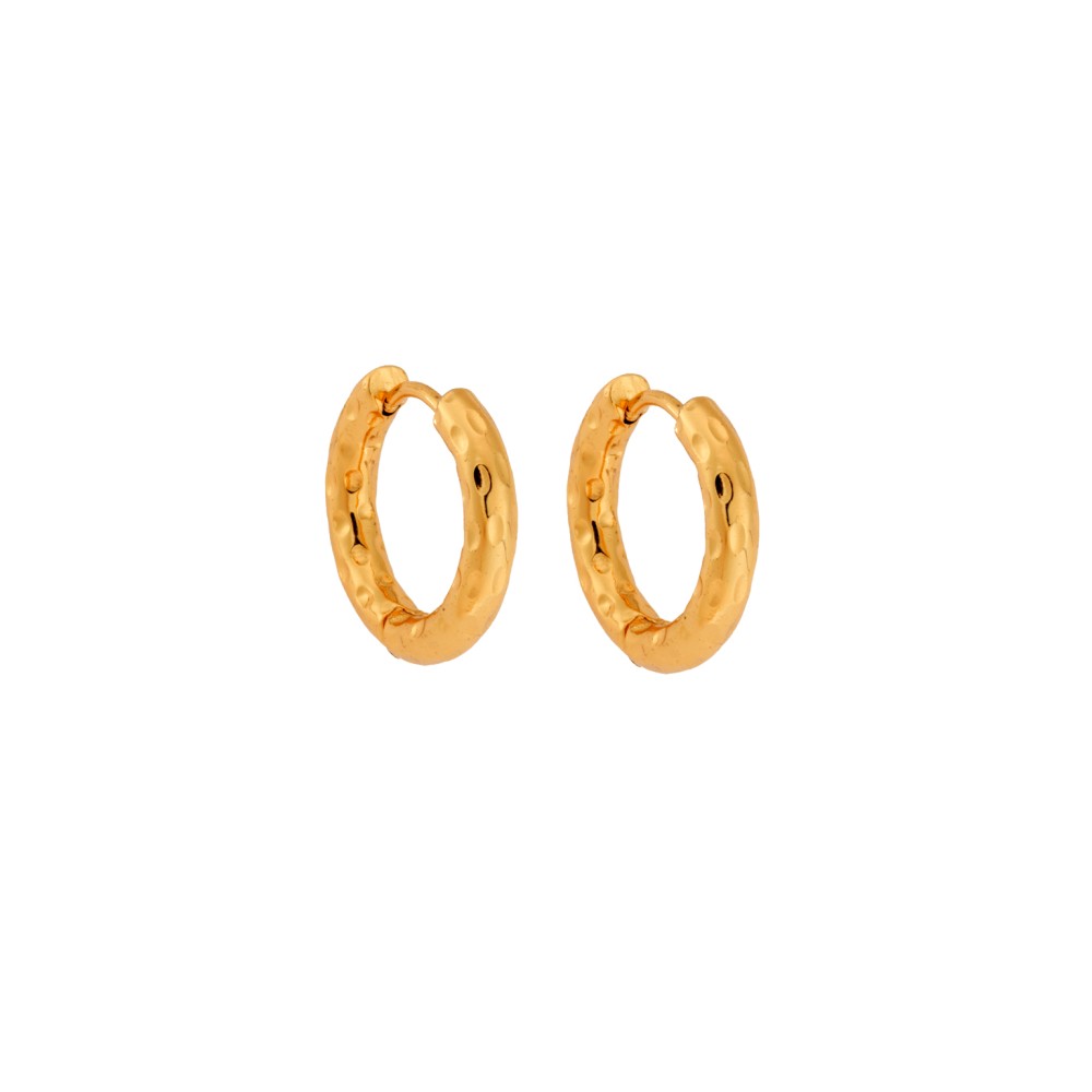 Σκουλαρίκια Γυναικεία SENZA, σφυρήλατοι κρίκοι από επιχρυσωμένο Ατσάλι - SSD5692-1GD