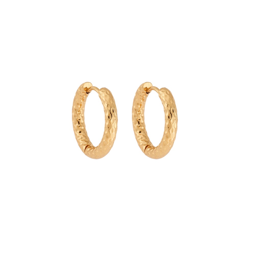 Σκουλαρίκια Γυναικεία SENZA, σφυρήλατοι κρίκοι από επιχρυσωμένο Ατσάλι - SSD5697-2GD