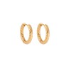 Σκουλαρίκια Γυναικεία SENZA, σφυρήλατοι κρίκοι από επιχρυσωμένο Ατσάλι - SSD5697-2GD