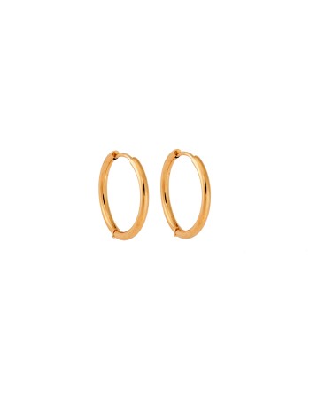 Σκουλαρίκια Γυναικεία SENZA Gold Plated Steel, κρικάκι 1.9 cm - SSD5735-1GD