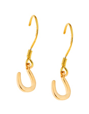 Σκουλαρίκια Senza Silver 925 Gold Plated - SSR2396GDSK