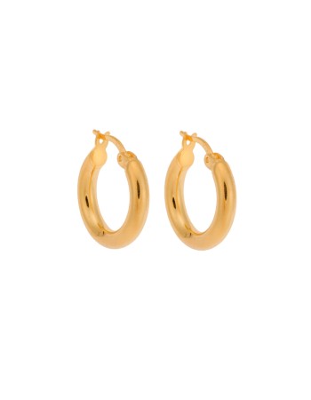 Σκουλαρίκια Γυναικεία Senza από επιχρυσωμένο ασήμι 925, κρίκος - SSR3697GD