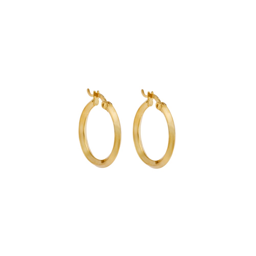 Σκουλαρίκια Γυναικεία Senza από επιχρυσωμένο ασήμι 925, κρίκος - SSR3701SMGD