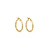 Σκουλαρίκια Γυναικεία Senza από επιχρυσωμένο ασήμι 925, κρίκος - SSR3701SMGD