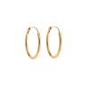 Σκουλαρίκια Κρίκοι Senza από επιχρυσωμένο ασήμι 925, 2.2mm - SSR3754GD