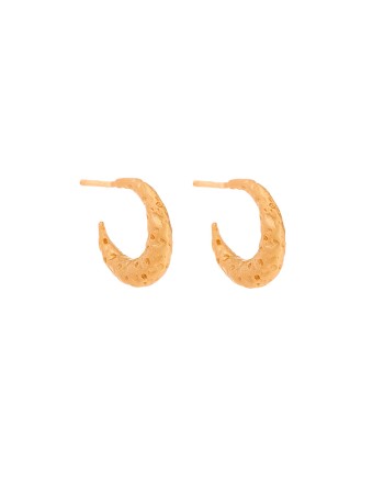 Σκουλαρίκια Senza από επιχρυσωμένο ασήμι 925, Ματ σκαλιστό κρικάκι - SSR3797GD