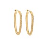 Σκουλαρίκια Γυναικεία Senza από επιχρυσωμένο ασήμι 925, κρίκος - SSR3980GD