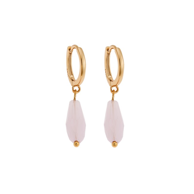 Σκουλαρίκια Κρίκοι Senza επιχρυσωμένο ασήμι 925 - SSR3990-1GD